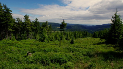 Porośnięte lasami polskie wzgórza, piesza wyprawa w Karkonosze - pasmo Sudetów