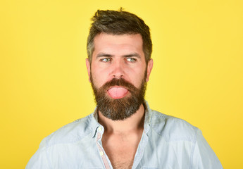 Obraz premium Funny bearded man. Man with beard and mustache. Bearded man shows tongue. Feeling and emotions. Closeup portrait of funny bearded man. Emotions. Feelings. Facial expressions concept. Yellow background