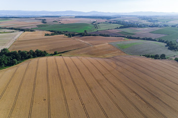 Obraz premium Field with rows