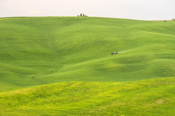 Tuscan countryside