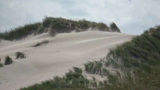 Sandsturm an der Nordseek&uuml;ste, Sandverwehungen, sandd&uuml;nen, Wanderd&uuml;nen