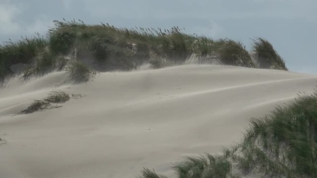 Sandsturm an der Nordseek&uuml;ste, Sandverwehungen, sandd&uuml;nen, Wanderd&uuml;nen