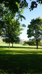 park