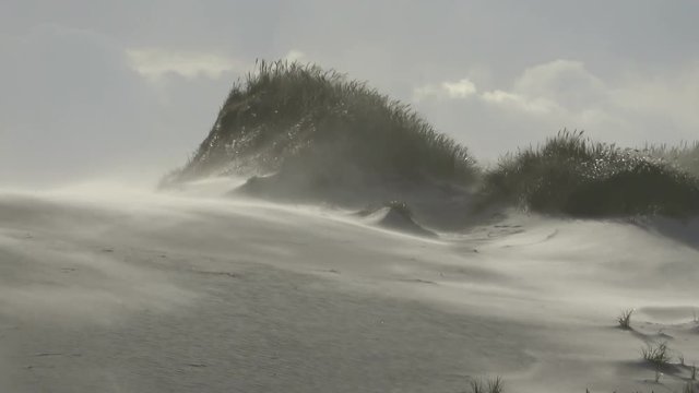  Sandsturm an der Nordseek&uuml;ste, Sandverwehungen, sandd&uuml;nen, Wanderd&uuml;nen