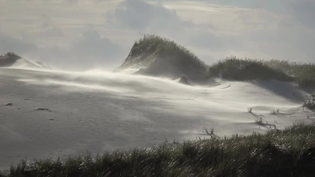  Sandsturm an der Nordseek&uuml;ste, Sandverwehungen, sandd&uuml;nen, Wanderd&uuml;nen