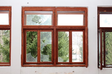 Renovated wooden window frame with broken glass and tall pine trees in background surrounded with dilapidated wall