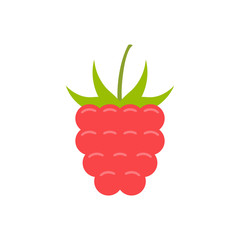 Raspberry. flat style. isolated on white background
