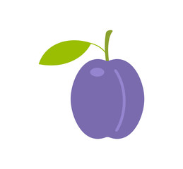 Plum. flat style. isolated on white background