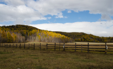 Obraz premium autumn fields