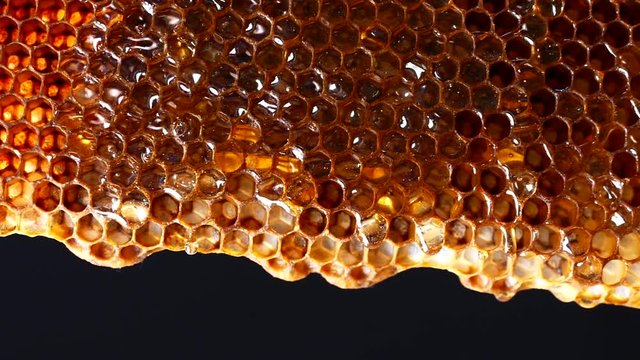 Honey flows down the honeycomb. Fresh honey drips on the background.