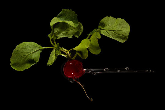 Oil dripping off a radish
