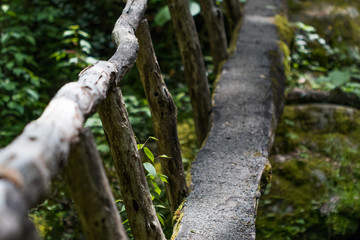 Primitive wooden bridge spanning over stream in the mountains