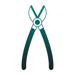 garden shears tool vector illustration graphic design