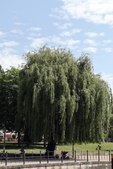 Uferbebauung Spree Berlin