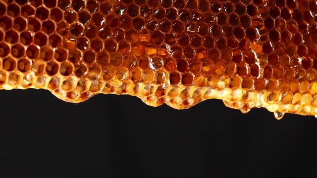 Honey flows down the honeycomb. Fresh honey drips on the background.