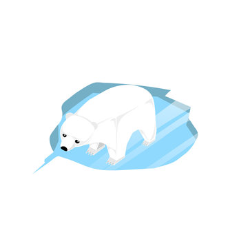Vector Paper box animal,Vector Polar Bears on the ice 