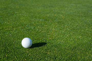 Early morning on the golf green, still covered in dew and sparkles from the sun, side light on a golf ball and a big shadow
