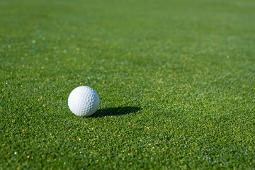 Early morning on the golf green, still covered in dew and sparkles from the sun, side light on a golf ball and a big shadow

