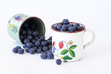 Heidelbeerzeit / Heidelbeerernte