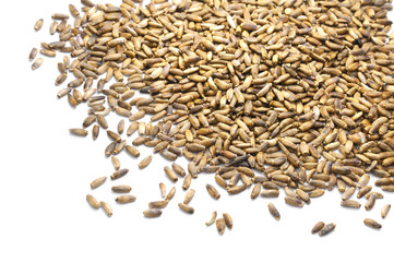 Organic milk thistle seeds on white background
