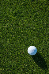 Early morning on the golf green, still covered in dew and sparkles from the sun, side light on a...