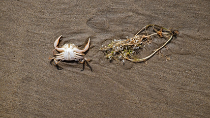 Strandspaziergang