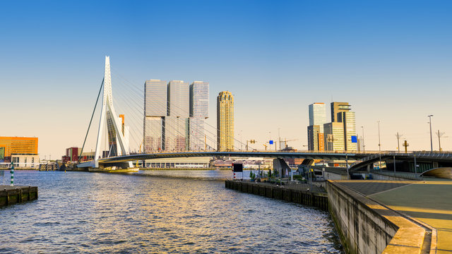 Erasmus bridge in Rotterdam at sunset.
