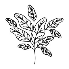 branch with leafs ecology icon vector illustration design