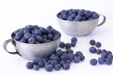 Blaubeerzeit / Blaubeerernte