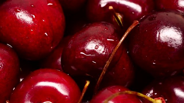 UHD macro of the ripe organic cherry berries on the rotating stand