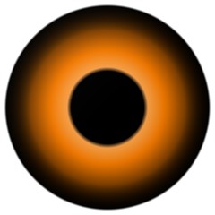 Animal eye with orange color, 3d eye with black fringe