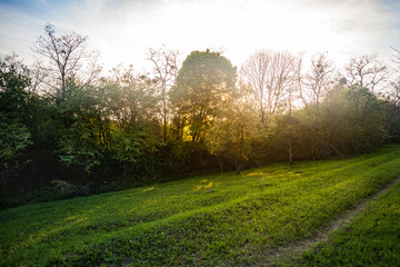 Rural sandy road through green field and cloudy sky on background