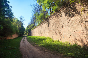 ancient destroyed wall overgrown with plants