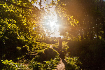 man walking on sunlit path through small woods in spring