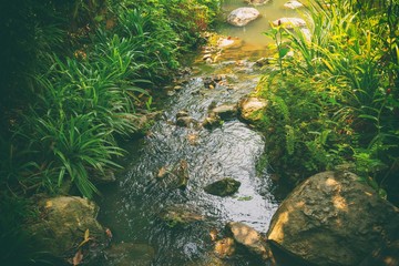 Waterfall in the garden retro or vintage tone