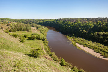 Obraz premium picturesque view of large river surrounded by summer forest