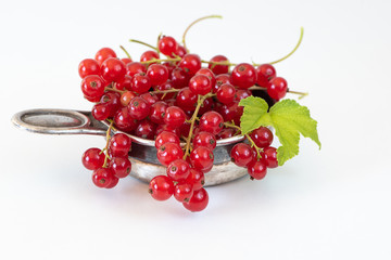 rote Johannisbeeren (Ribisel)