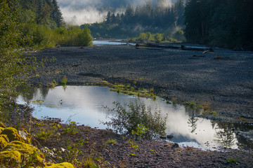 Fog lifts over the Hoh river, Olympic National Park