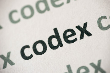 word codex printed on paper macro