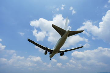 Fototapeta na wymiar 大阪伊丹空港 飛行機の着陸 airplane landing