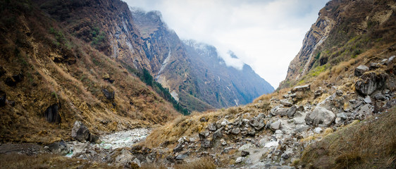 Travel concept , Trekking trail along with grasses field and rocky with Annapurna snow peaks and blue sky in Nepal