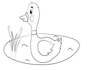  vector illustration coloring duck bird on a pond isolated on white background
