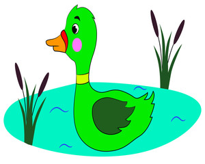 Fototapeta premium vector illustration of a duck on the pond