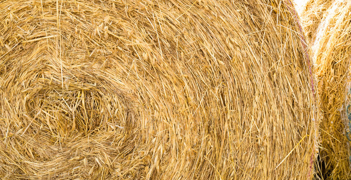 Stoss Image Stoss - Images et vidéos libres de droits | Adobe Stock