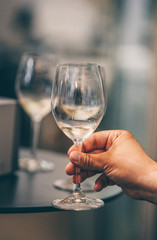 Champagne and wine tasting