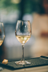 Champagne and wine tasting