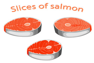 piece of fish. Cut salmon slice. Steak salmon isolated on white background. Vector illustration of fish. 