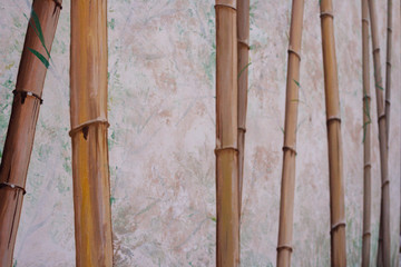 Bambú pintado en un muro