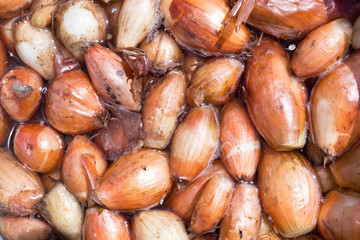 Bow. Wet before planting