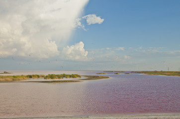 Salt lake with natural pink water color - 212259191